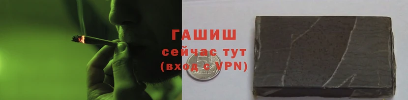 крисы Горняк