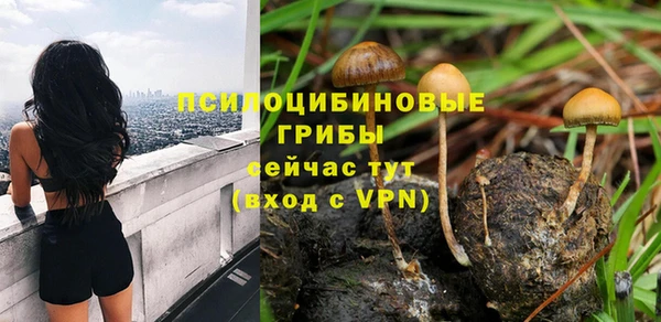 соль курить ск Волосово