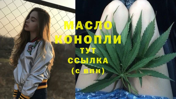 крисы Горняк