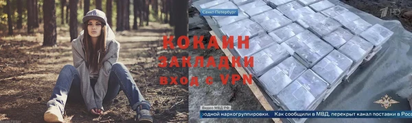 амф Верея