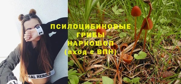 спиды Горнозаводск